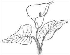 233x184 Simple Drawing Pictures Of Nature