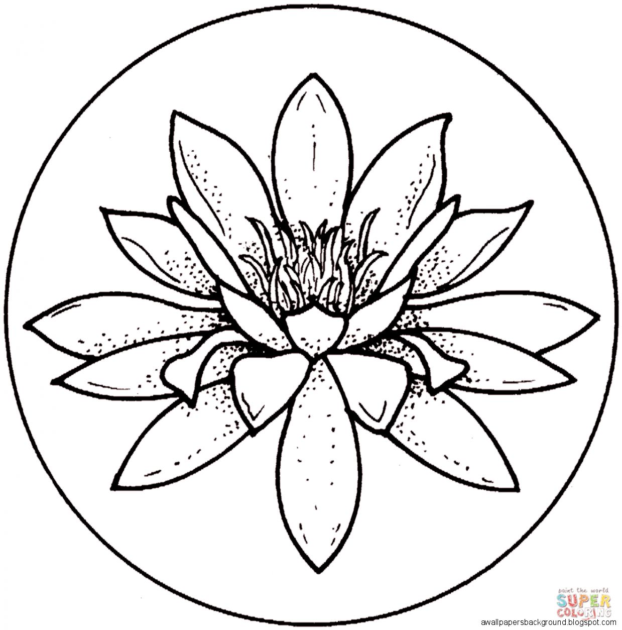 1239x1254 Simple Water Lily Drawing Wallpapers Background