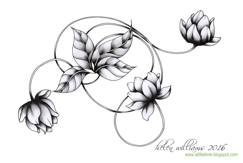 1000x674 Water Lily Swirl