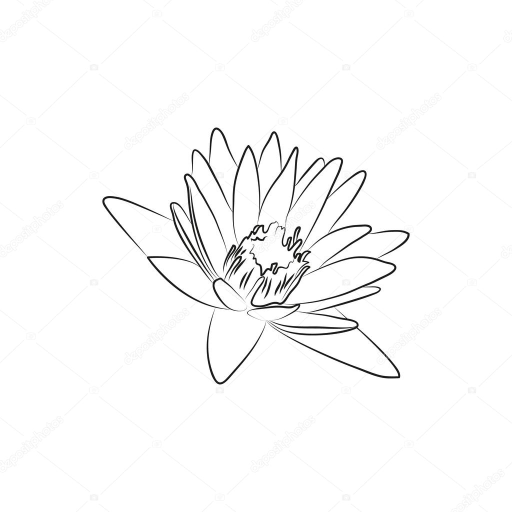 1024x1024 Beautiful Lily Or Lotous Flower Simple Black Lined Icon On White