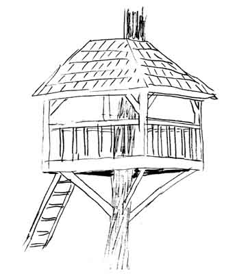 346x400 Simple Tree Houses Drawings