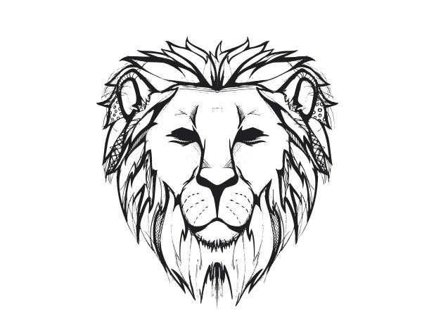 600x472 Pictures Drawings Of A Lion Face,