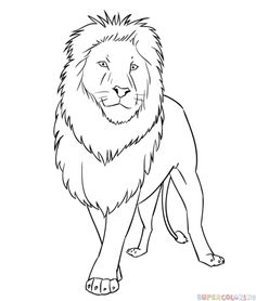 Simple Lion Face Drawing at GetDrawings | Free download