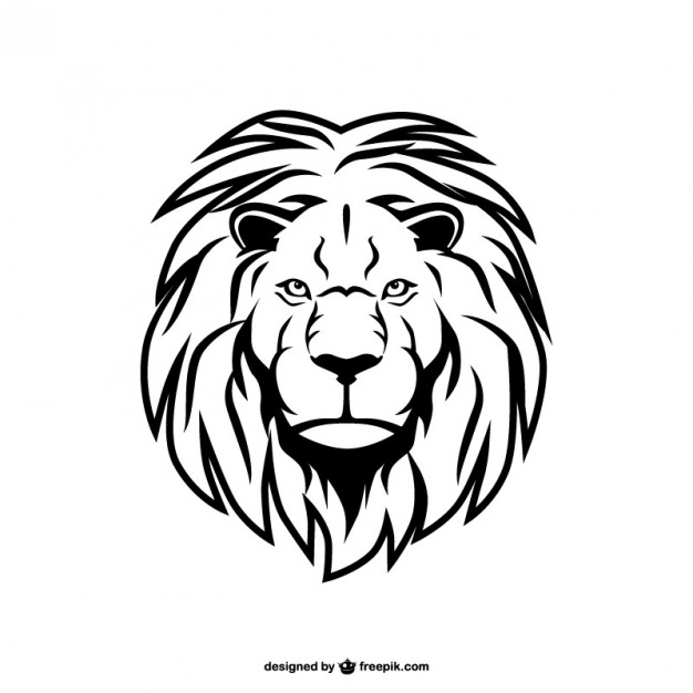 626x626 Lion Vectors, Photos And Psd Files Free Download