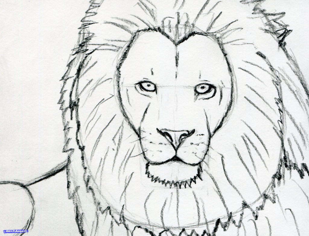 1024x785 Simple Lion Face Drawing
