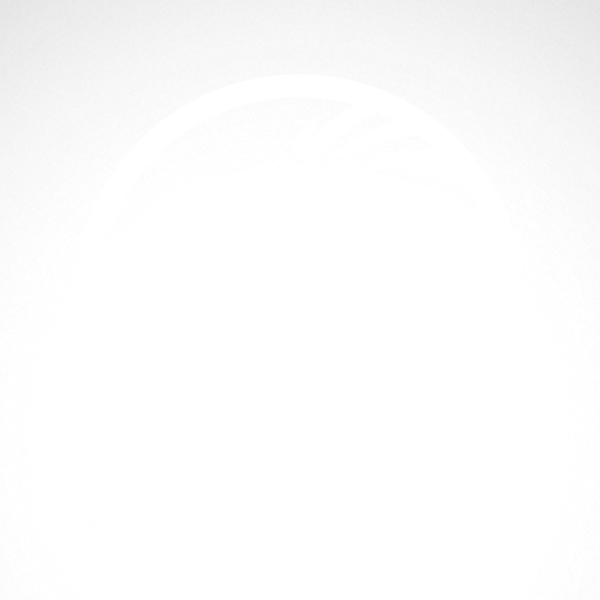 600x600 Simple Color Vinyl Male Lion Head Stickers Factory