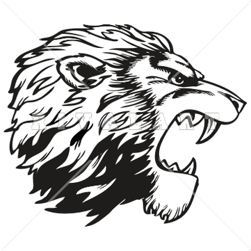 361x361 Sketch Clipart Lion Profile