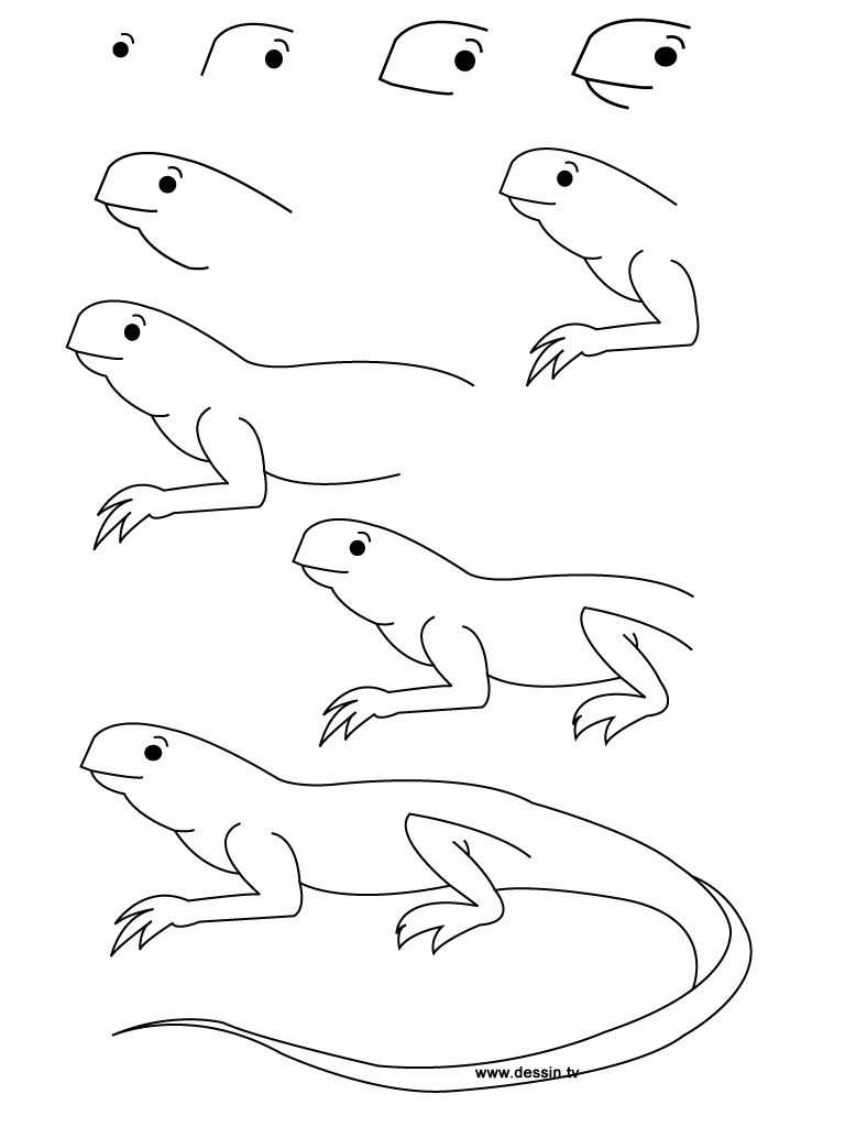 768x1024 Here You Can Find Some New Design About How To Draw A Lizard, Step