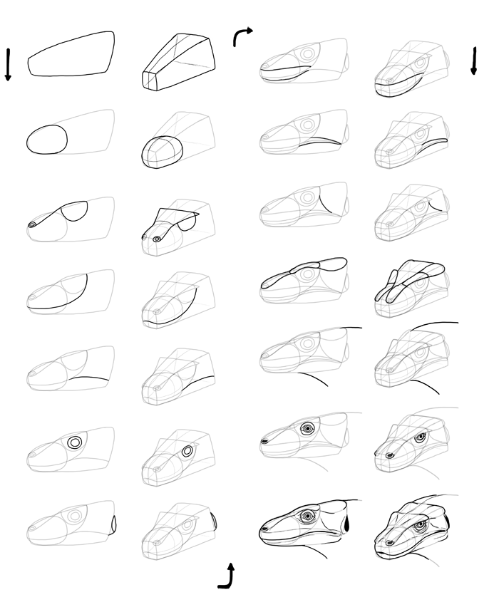 700x852 How To Draw Lizards (Aka Real Life Dragons)