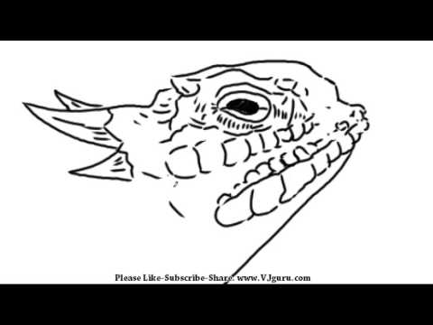 480x360 How To Draw A Rock Lizard Yzarts Yzarts