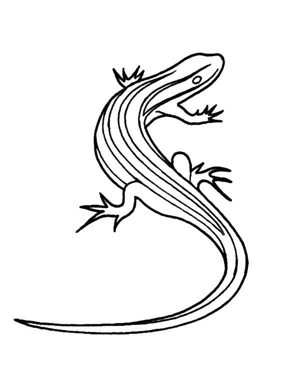 600x777 Simple Lizard Coloring Pages Free Download Picture Of Pic