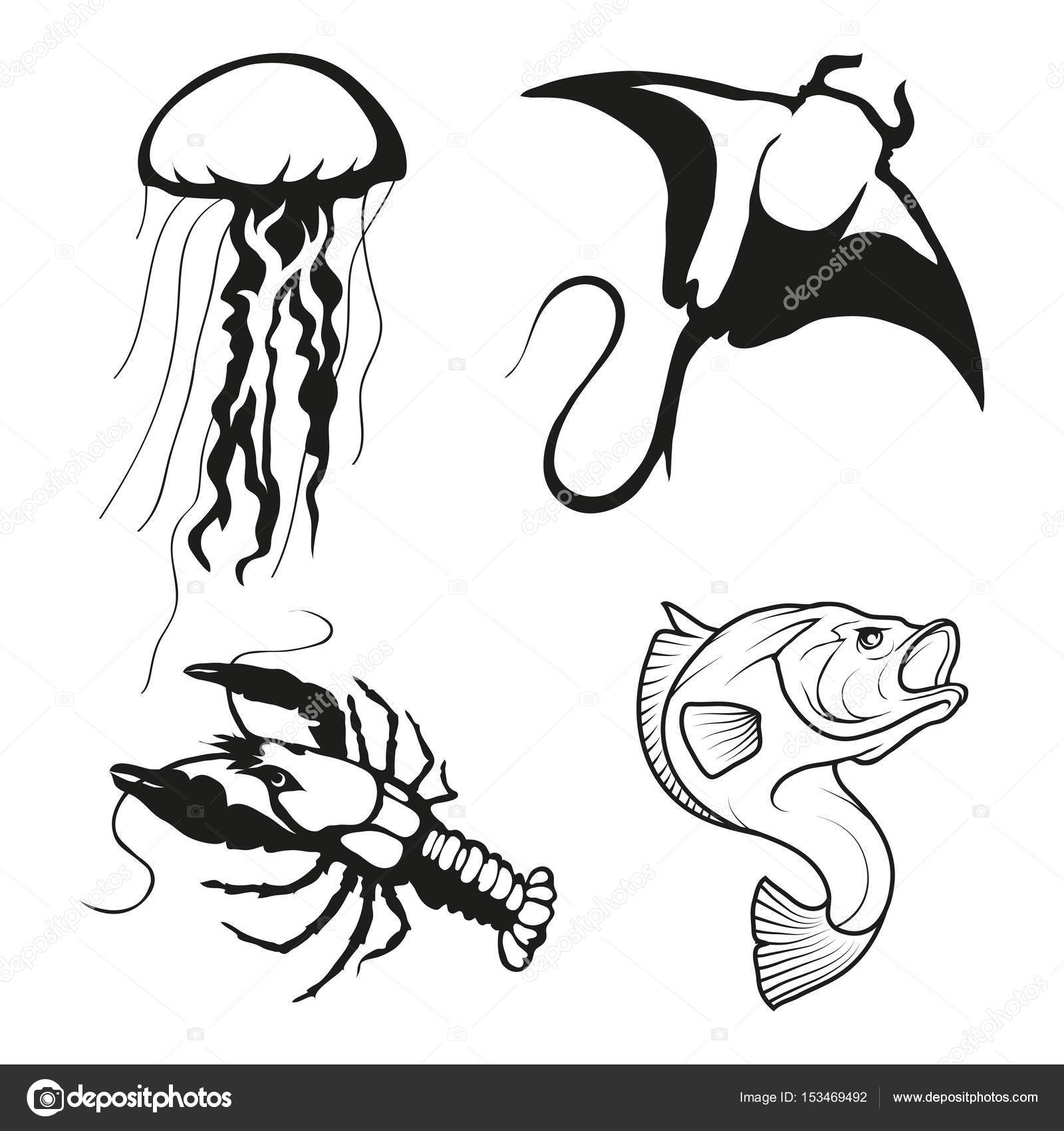 1600x1700 Jellyfish, Manta Ray, Lobster And Fish Logos Stock Vector