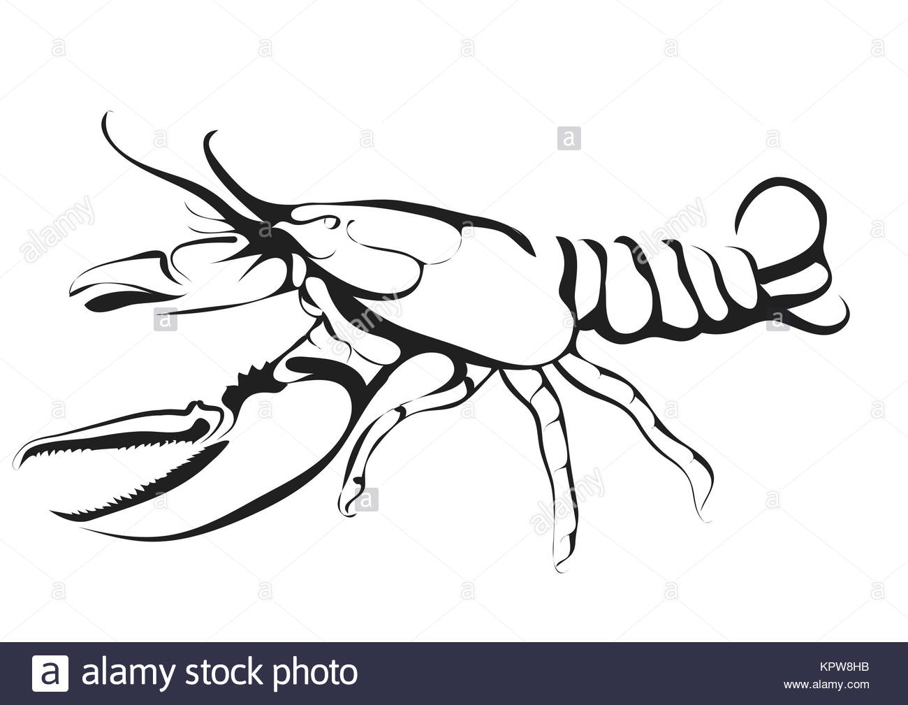 1300x1009 Lobster Vector Stock Photos Amp Lobster Vector Stock Images