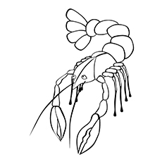 230x230 Top 10 Free Printable Lobster Coloring Pages Online
