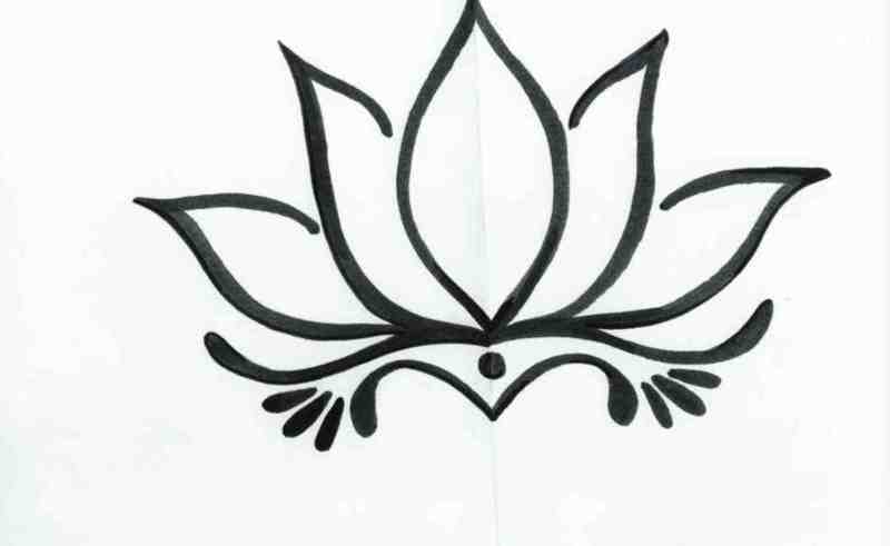 800x491 Lotus Flowers Drawings Gardening Flower And Vegetables