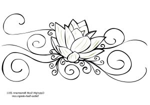 300x210 Simple Lotus Flower Drawing Lotus Flower Simple Drawing Best