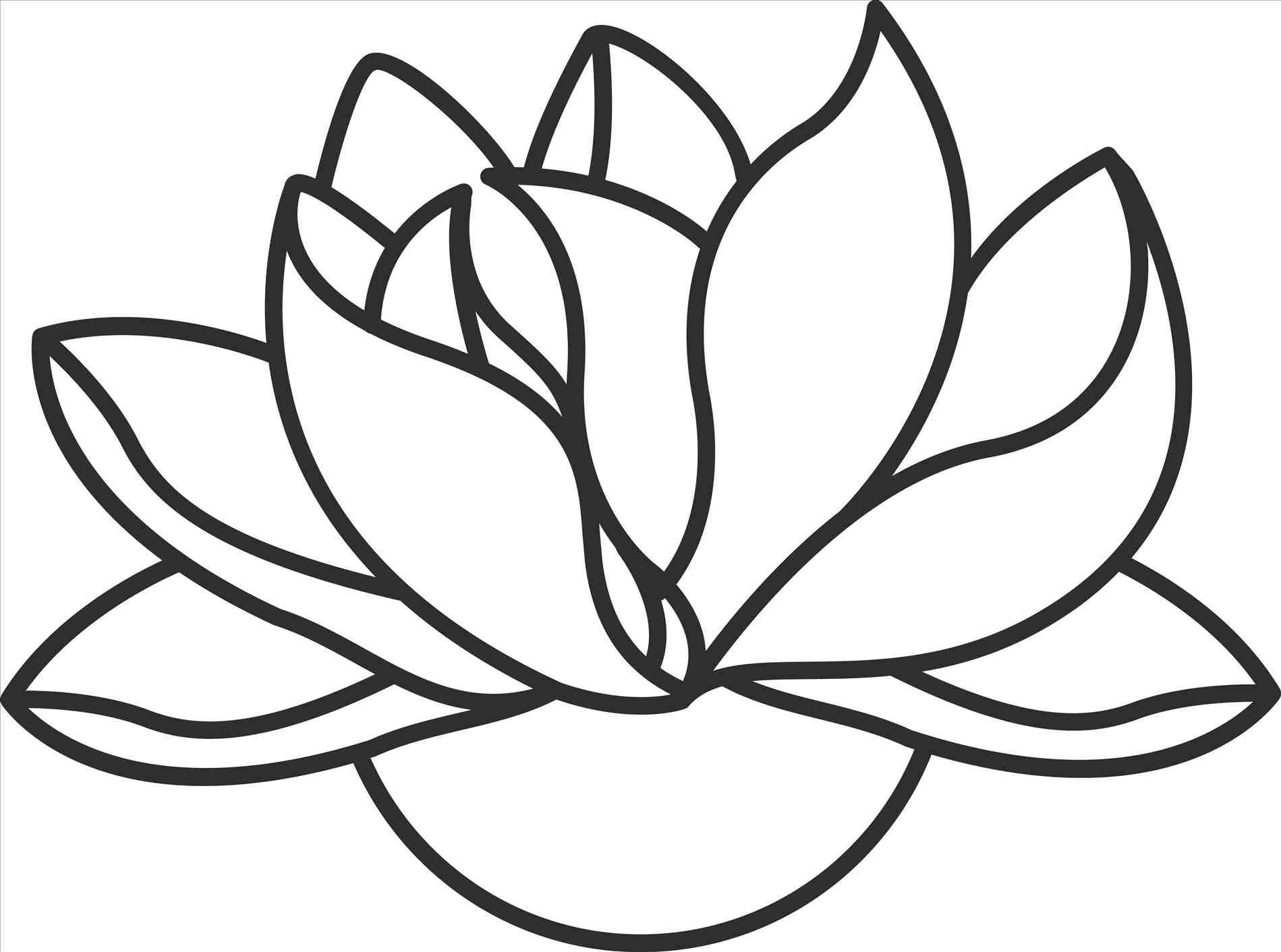 1899x1412 Free Image On Pixabay Lotus Flower Plant Leaf. Simple Lotus Flower