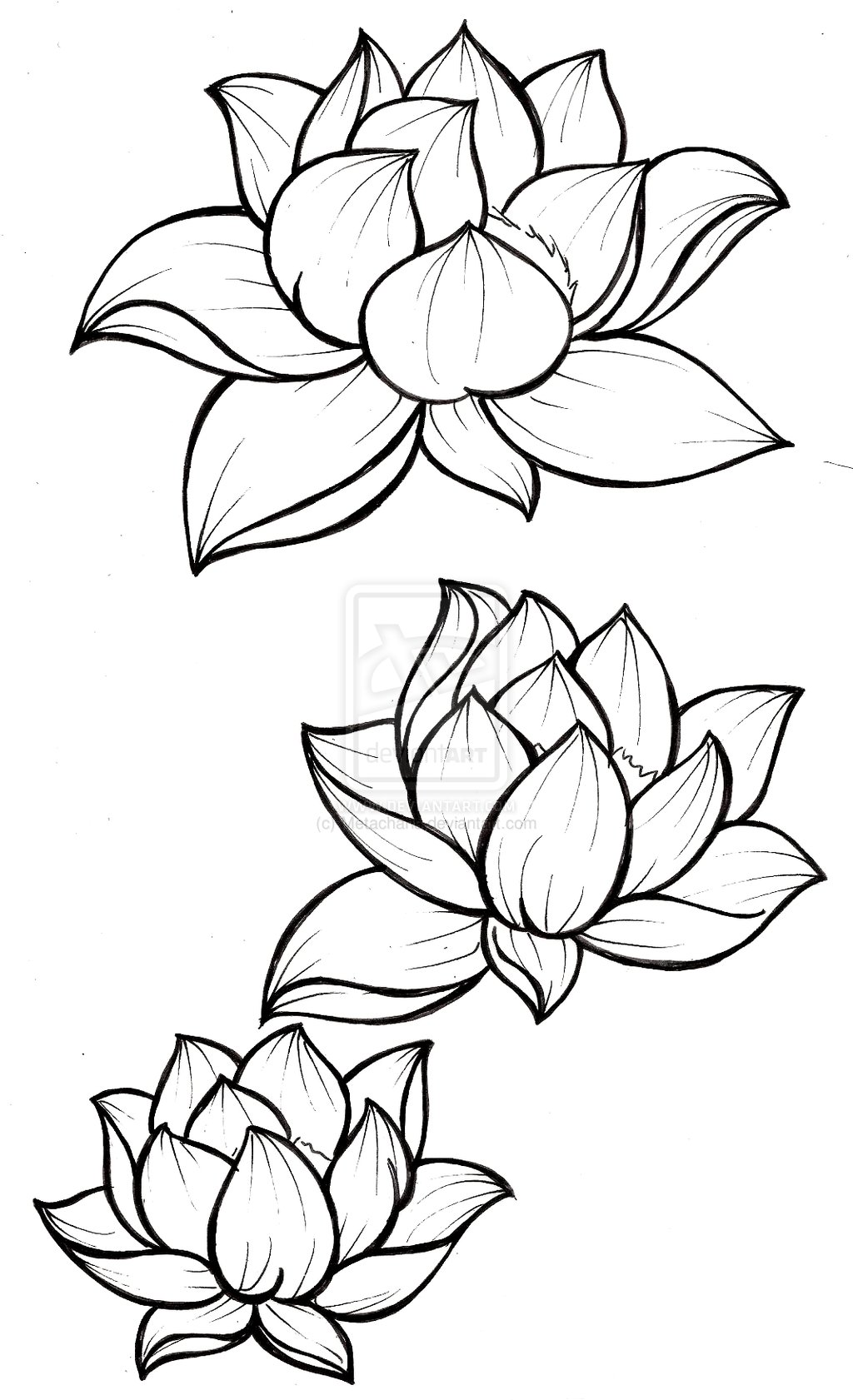 1024x1681 Lotus Blossom Tattoo By On @