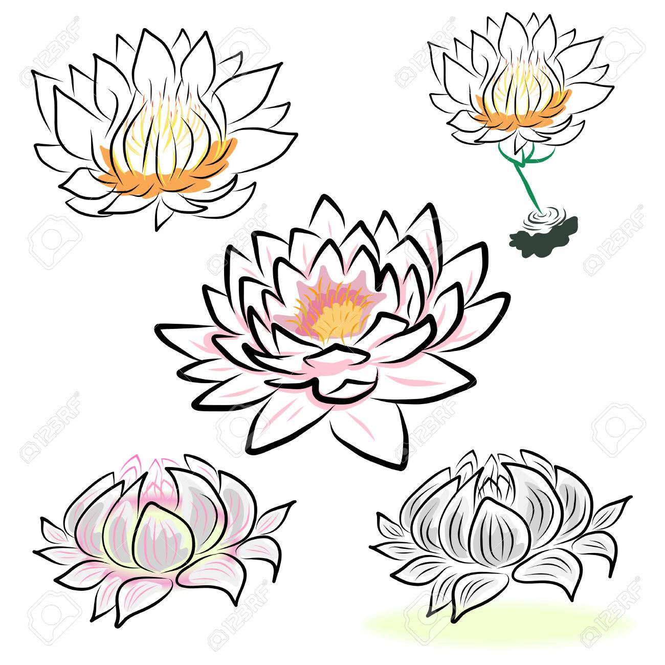 Simple Lotus Flower Drawing at GetDrawings | Free download