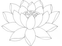 200x150 Lotus Flower Coloring Pages Awesome Simple Lotus Flower Drawing Hd