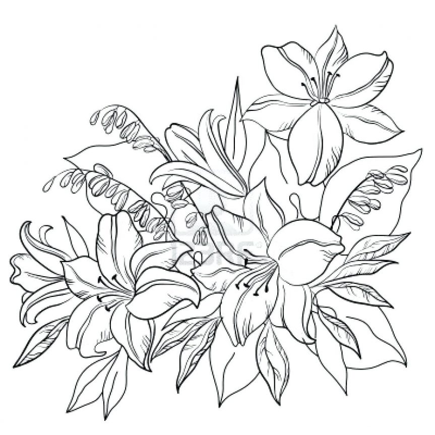 863x863 Outline Of Flowers For Drawing Lily Flower Tattoos Piercings Cute