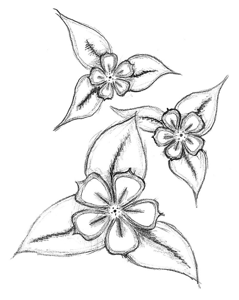 Simple Lotus Flower Drawing at GetDrawings | Free download