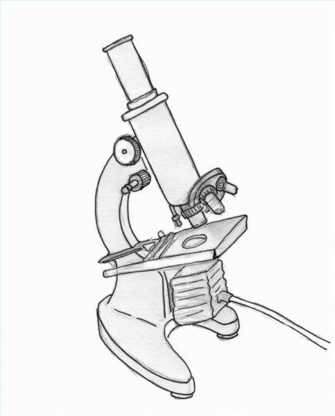 483x600 How To Draw A Microscope Ehow