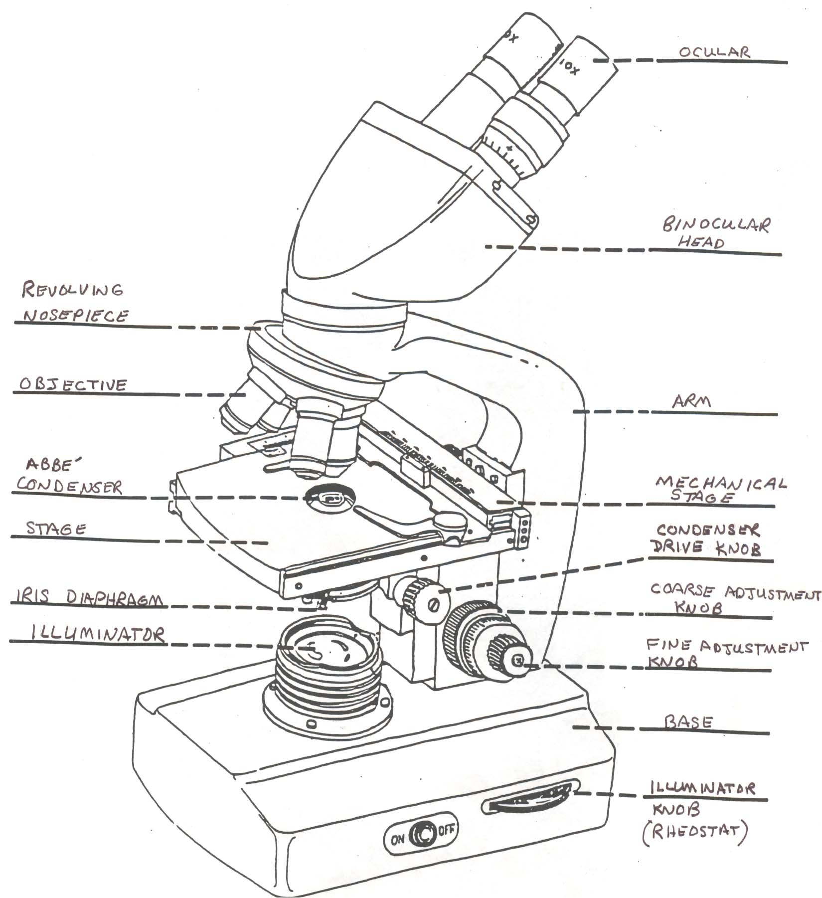 Simple Microscope Drawing at GetDrawings | Free download