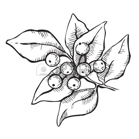 450x450 Kiss Me Under Mistletoe. Christmas Card With Decor Plant. Hand