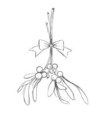 216x234 The Best Mistletoe Drawing Ideas On Water Colour