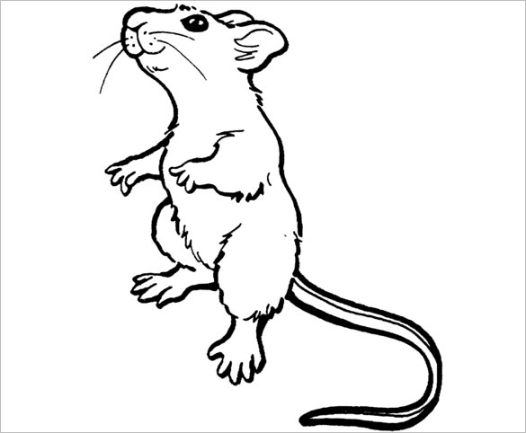 Simple Mouse Drawing