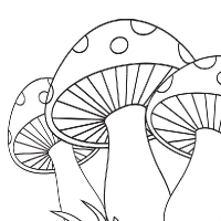 200x200 Drawing Mushroom