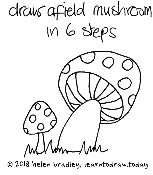 500x572 How To Draw A Field Mushroom In 6 Steps Learn To Draw