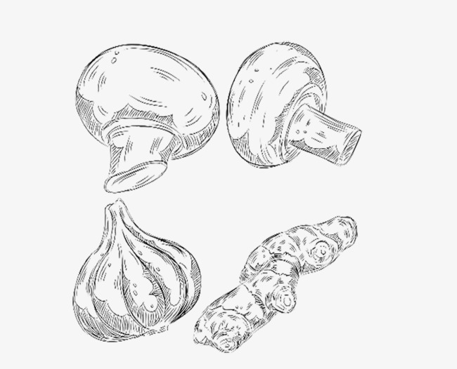 650x526 Mushrooms Pattern, Hand Drawn Mushrooms, Creative Photos, Simple