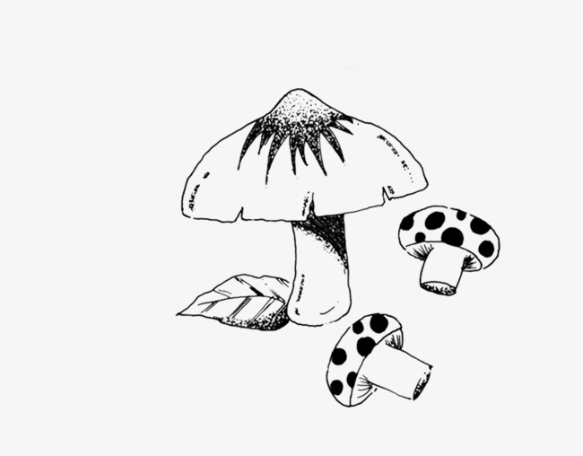 650x508 Black Stick Figure, Hand Drawn Mushrooms, Creative Photos, Simple