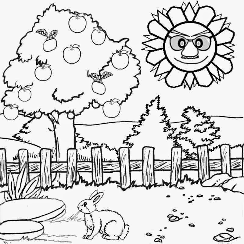 800x800 Garden Drawing For Kids