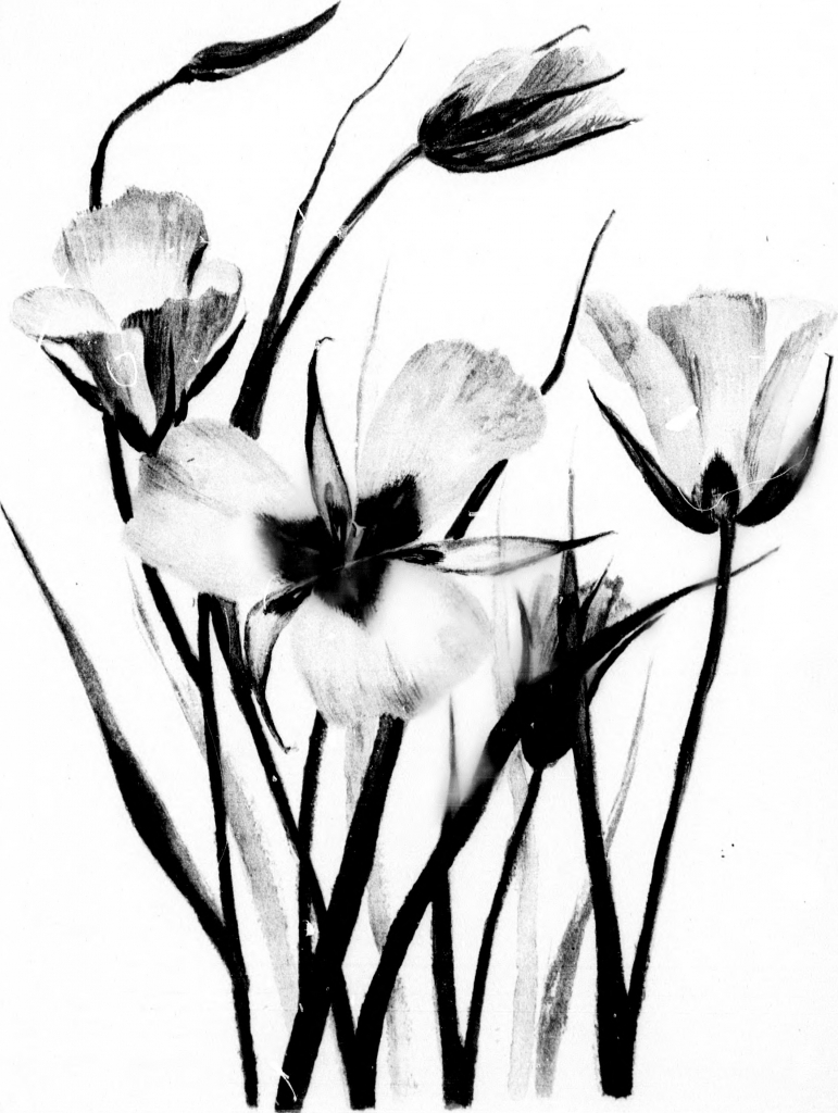 771x1024 Black And White Sketches Of Nature Pictures Of Flower Drawings