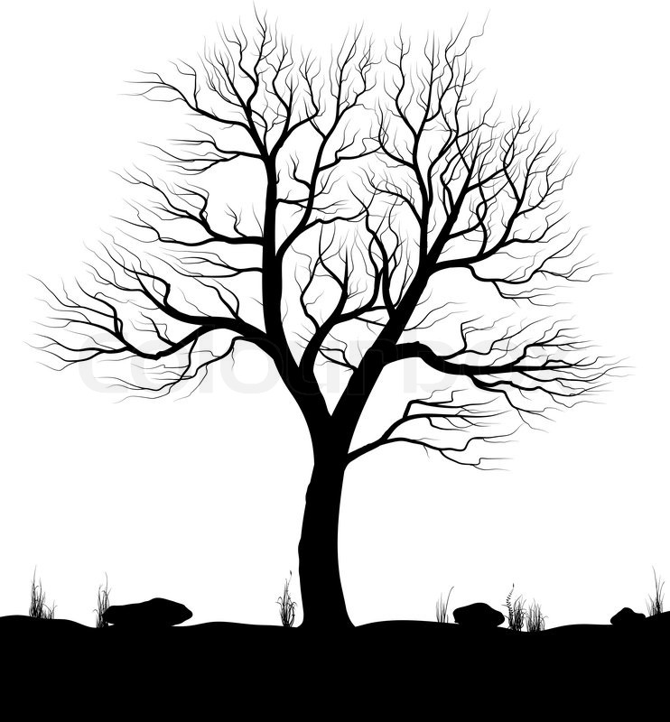 742x800 Black And White Tree Drawing Simple Black And White Tree Drawing