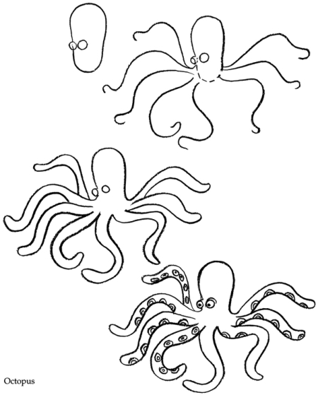 450x559 How To Draw Aquarium Animals