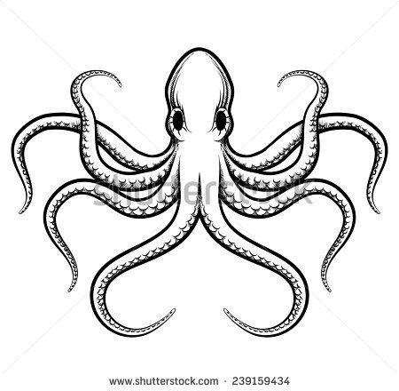 450x440 Simple Marine Life Background Octopus Drawing Stock Images Royalty