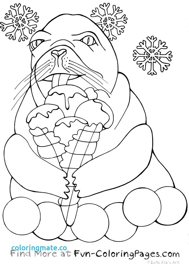 663x925 Otter Coloring Pages Best Simple Otter Coloring Pages