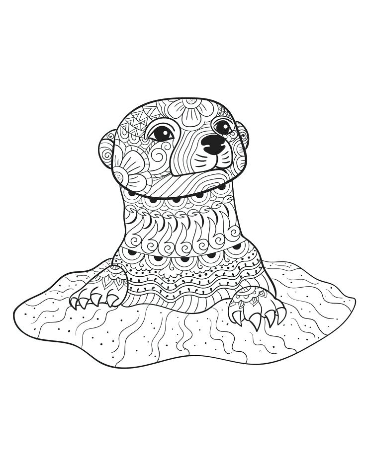 736x952 Coloring Page Animal Best Photos Of Simple Animal Coloring Pages