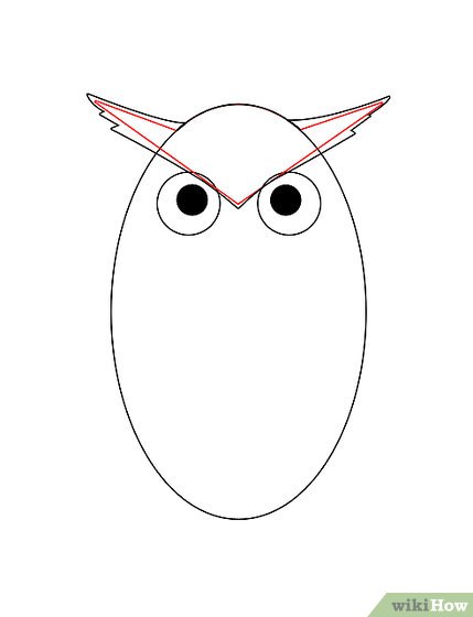 429x560 How To Draw An Owl (With Pictures)