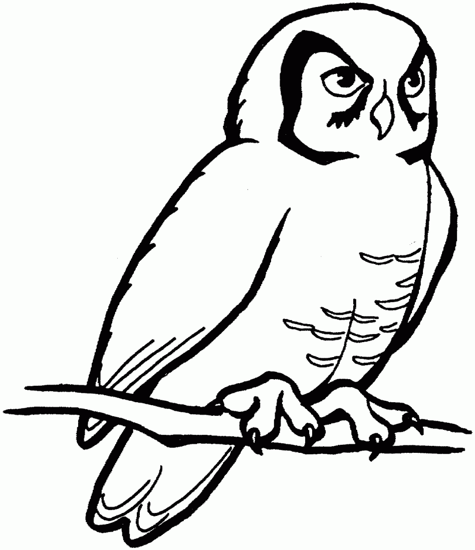 948x1098 Best Simple Owl Outline Tattoo Images Easy Cute Drawings Also