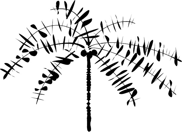 600x436 Palm Tree Drawing Simple Pictures Reference