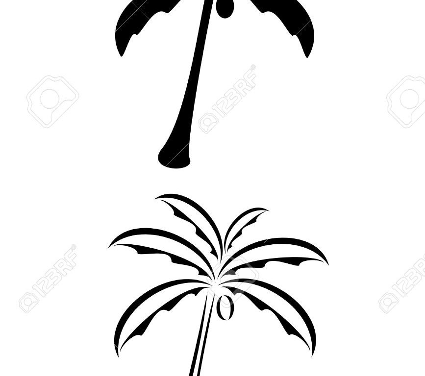 867x768 Download Simple Palm Tree Tattoo