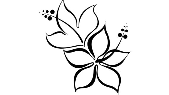 570x320 Simple Drawing Of Flowers Black And White Flower Drawing Clipart