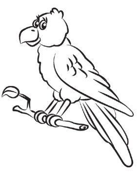 285x356 How To Draw A Parrot Howstuffworks
