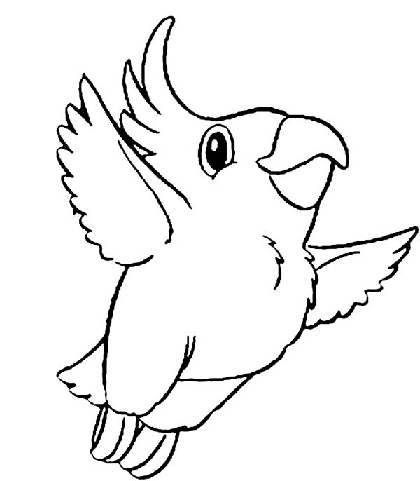 600x686 Kokapetl Parrot Coloring Page