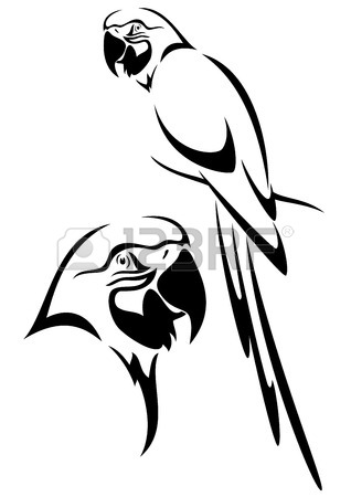 318x450 Parrot Stock Photos. Royalty Free Business Images